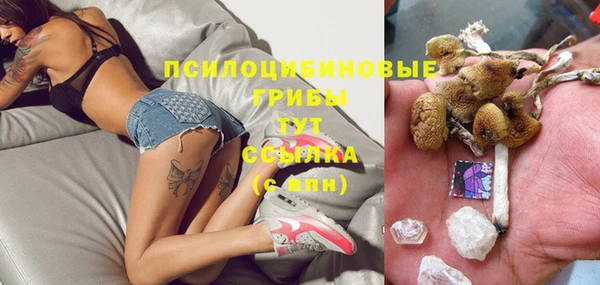 скорость Белокуриха