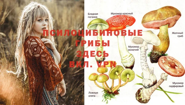 марки nbome Белоозёрский