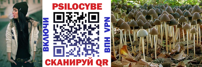 Псилоцибиновые грибы ЛСД  купить   Полесск 
